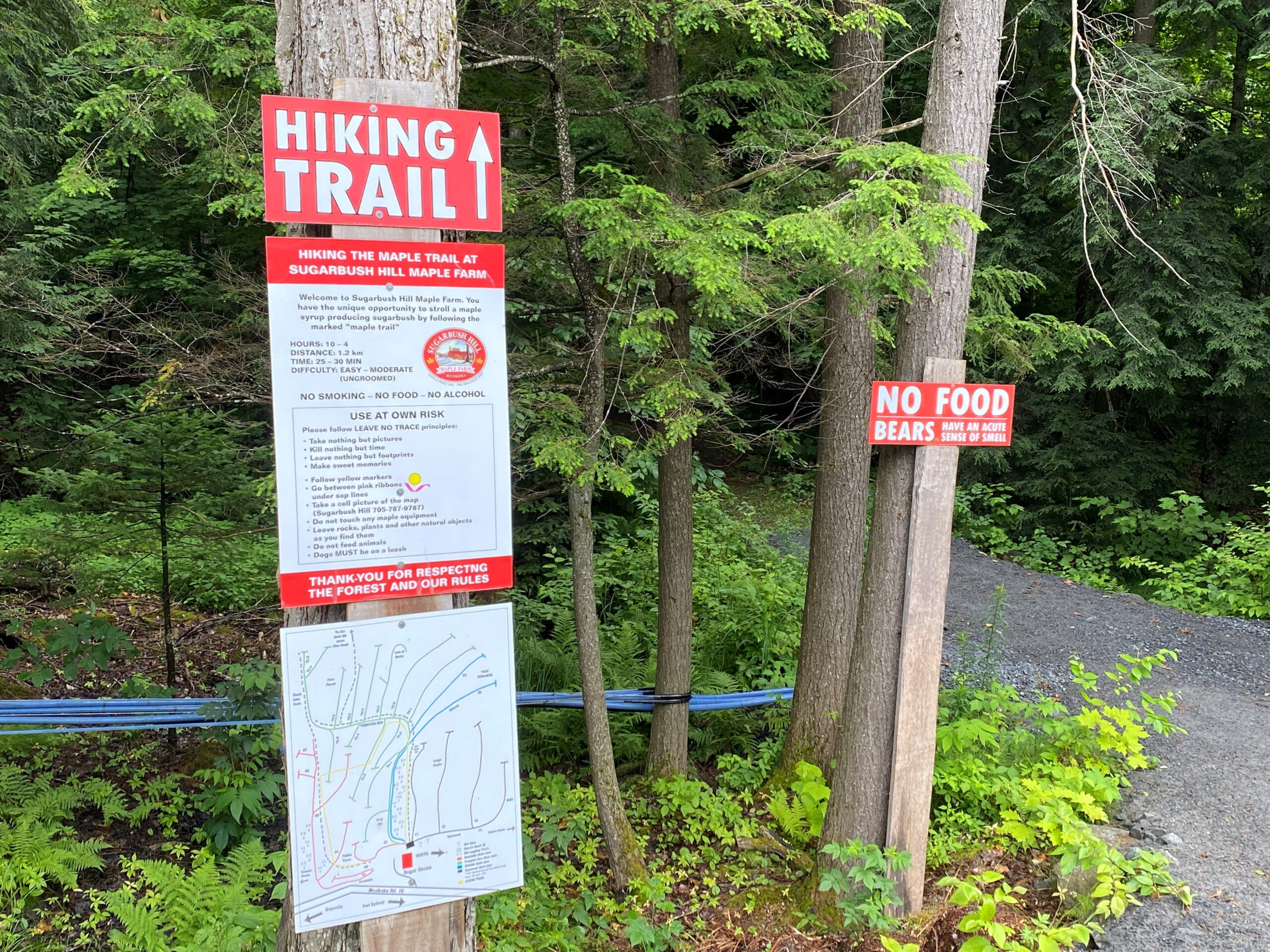 Sugarbush Hill Maple Farm — Muskoka, Ontario Maple Syrup